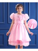 Pink color option, Currently selected