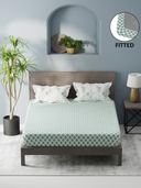 Green color option, Currently selected