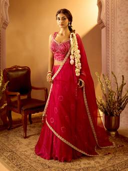 Samyukta Singhania - Pink Tissue V-Neck Embroidered Choli with Lehenga and Dupatta