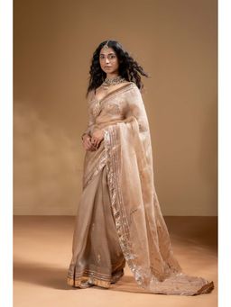 Baise Gaba - Sarkia Pre Draped Saree With Stitched Blouse with Stitched