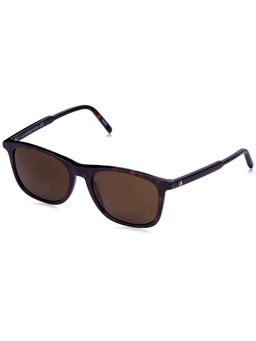 Montblanc - Brown/Havana Full Brown Sunglass MB593S 54 52J (54)
