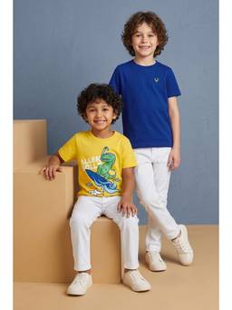 Allen Solly - Boys Multi-Color Printed Round Neck T-Shirt