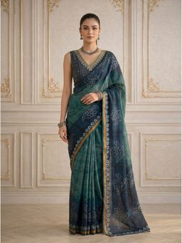 Ekana Label - Teal Bird Beauty Saree with Unstitched Blouse
