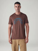 Brown color option, Sold out, Currently selected