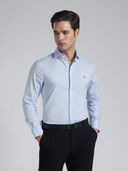 Blue color option, Currently selected