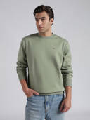 Green color option, Currently selected