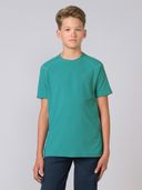 Turquoise color option