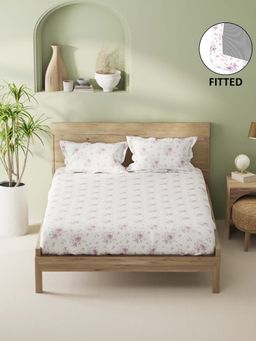 BIANCA - Cotton King Fitted Bedsheet With 2 Pillow Covers Purple
