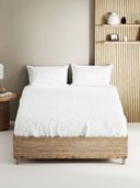 Blue color option, Currently selected