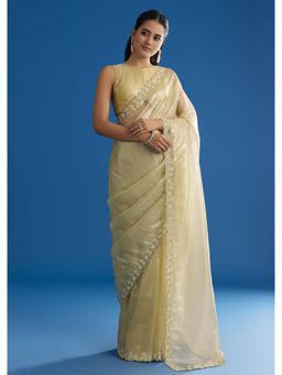 KALKI FASHION - Pastel Green Glass Tissue Sequined Cutwork Border Saree with Unstitched Blouse