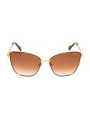 Brown color option, Currently selected