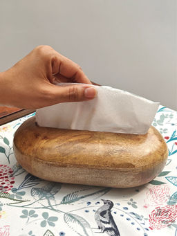 Akira Furnishings - Crafted Elegance: The Mango Wood Tissue Box – a Masterpiece of Artisanal Ingenuity