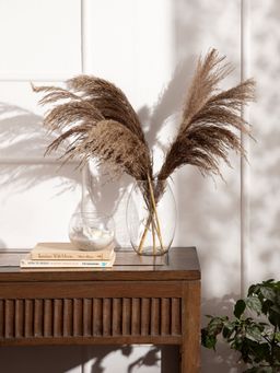 Twig & Twine - Nautica Dried Pampas Grass Bouquet (Pack of 6)