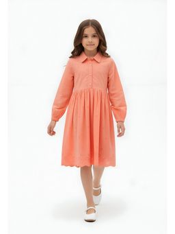 Bella Moda - Peach Cotton Full Sleeve Shifflie Work Fit and Flare Dress