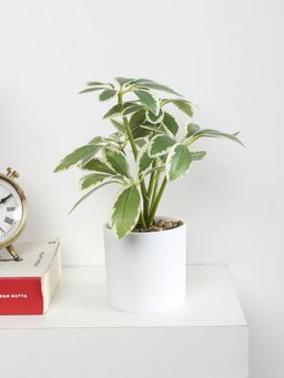 ARICK DECOR - Artificial Schefflera Mini Bonsai Plant with Pot