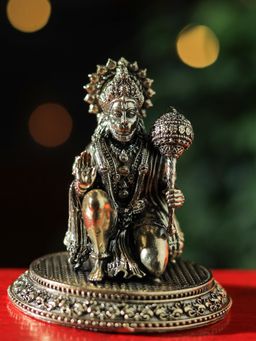 Revive Home - Hanuman Shakti Blessings Idol