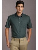 Green color option, Currently selected