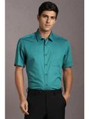 Green color option, Currently selected