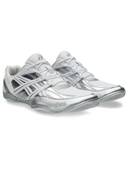 Silver color option, Currently selected