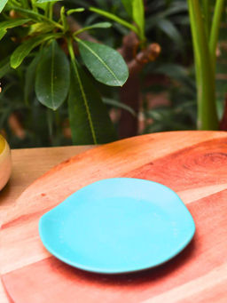 WEAVING HOMES - Misfit Dessert Plate