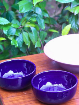 WEAVING HOMES - Royal Blue Snack Bowl