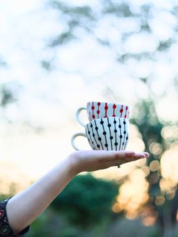 WEAVING HOMES - White Dotted Lined Mugs (Pack of 2)