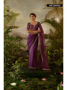 Baise Gaba - Gopi Saree with Stitched Blouse