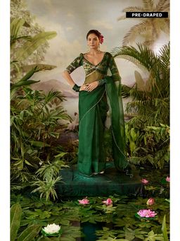Baise Gaba - Taru Saree with Stitched Blouse