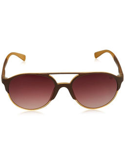 Gio Collection - Uv Protection Brown Round Men Sunglass-52 - GM.6045C.10