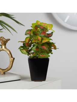 HomeTown - Ilana Faux Caladium Ceramic Potted Plant 19 Cm in Green Colour