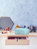 Aqua color option, Currently selected