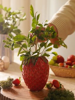 Pure Home + Living - Strawberry Ceramic Vase (S)