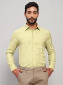 Olive color option, Currently selected