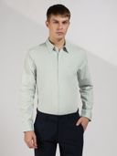 Green color option, Currently selected