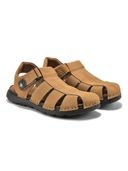 Brown color option, Currently selected