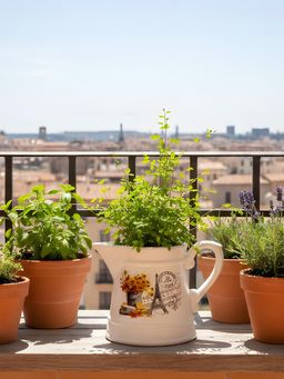 Aarvi Decor - White Glossy Decorative Ceramic Timeless Jug Vase for Home and Office