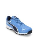 Blue color option, Sold out