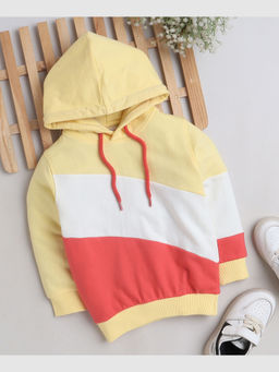 Bumzee - Multi Boys Full Sleeves Hooded Sweatshirt
