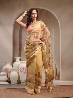 Stylum - Women's Beige Solid and Embroidered Super Net Saree with Unstitched Blouse