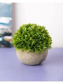 Green color option, Sold out, Currently selected