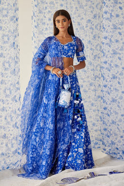 Baise Gaba - Ihanna Blue Lehenga with Blouse and Dupatta