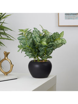 HomeTown - Ilana Faux Hypoestes Ceramic Potted Plant 27 Cm in Green Colour