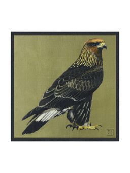 CHOKORE - Men Printed Multi-Color Pocket Square