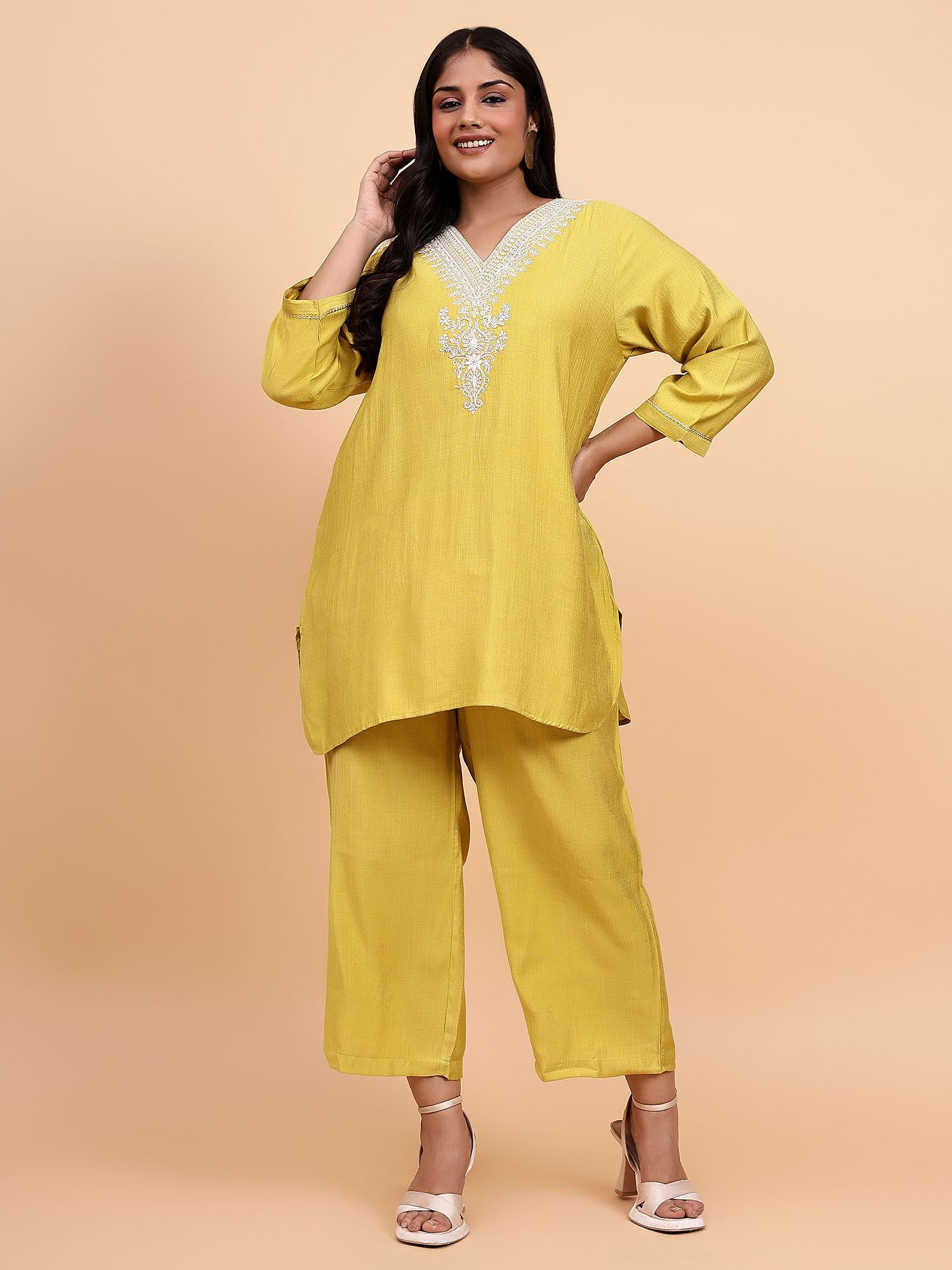 bani women Plus Size Embroidered Co-Ord (Set of 2)-picture-2