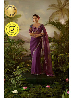 Baise Gaba - Gopi Saree with Stitched Blouse