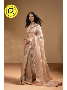 Baise Gaba - Sarkia Pre Draped Saree With Stitched Blouse with Stitched