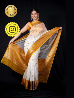 Isadora Life - Multi-Color Woven Pre-draped Saree With Unstitched Blouse