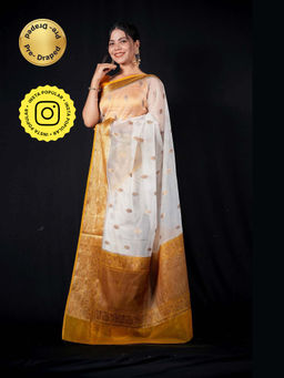 Isadora Life - Multi-Color Woven Pre-Draped Saree with Unstitched Blouse