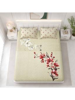 Sparsh - Dove Multi-Color Double Bedsheet with Pillow Covers