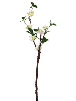Tayhaa - White & Green Gardenia Artificial Flower
